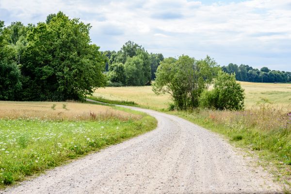 Stone Driveway Repair in Orange Park