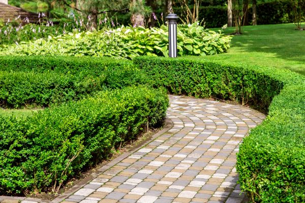 Cost of Paved Landscaping in Orange Park