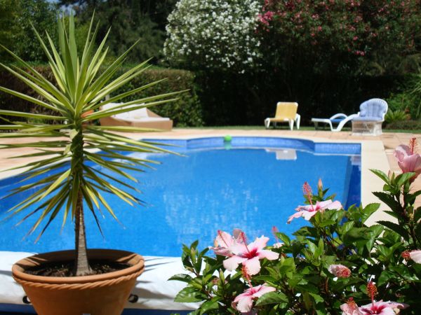 Cost of Pool Terrace Renovation in Orange Park